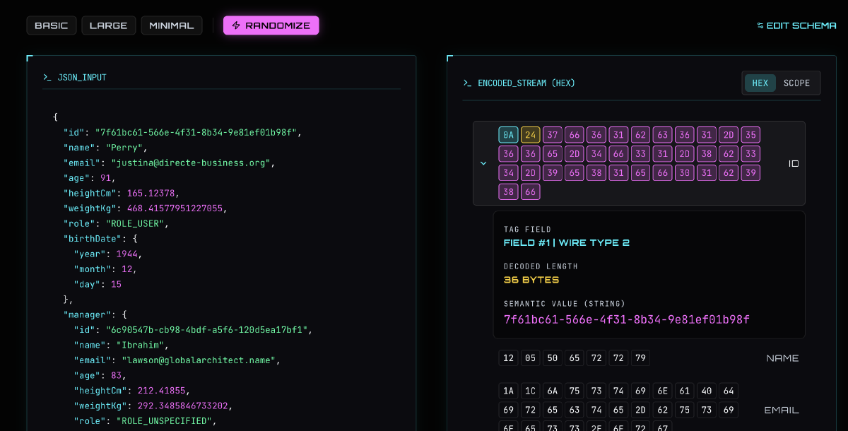 The Binary Explorer split layout showing a schema compiling to a raw hex grid